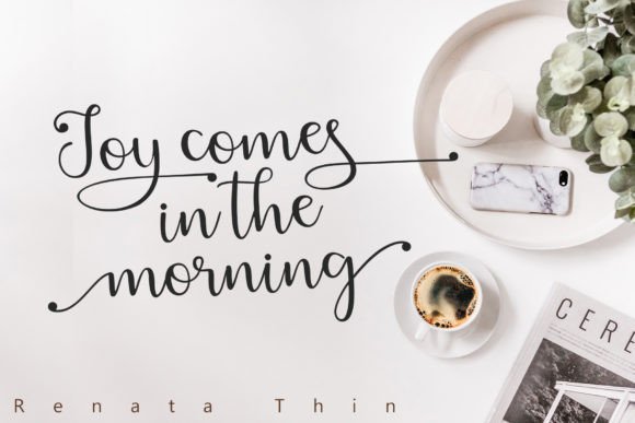 Renata Font Poster 5