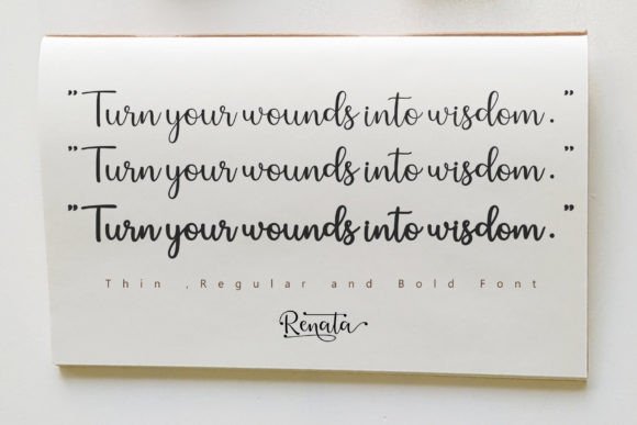 Renata Font Poster 8