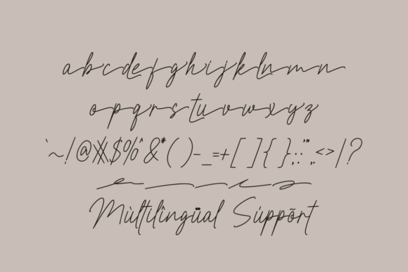 Restiny Sallmi Font Poster 7