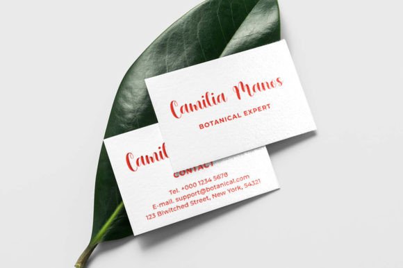 Revaline Font Poster 5