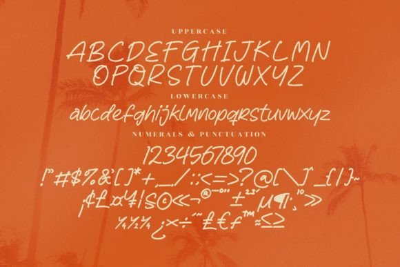 Reyhart Sejenack Font Poster 13