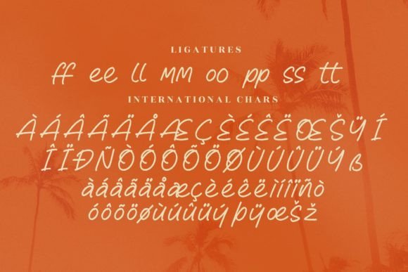 Reyhart Sejenack Font Poster 14