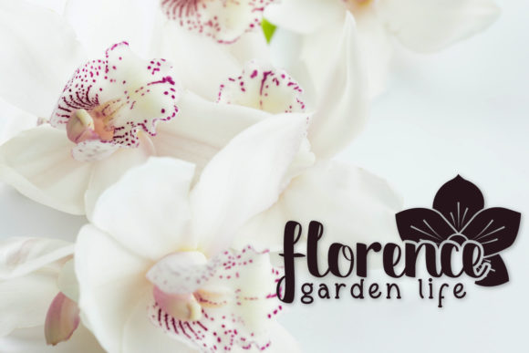 Riberio Font Poster 4