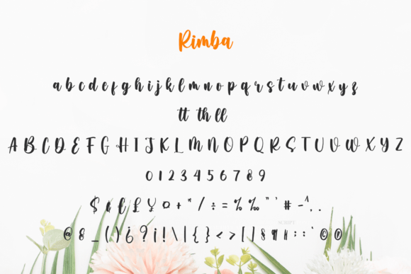 Rimba Font Poster 6