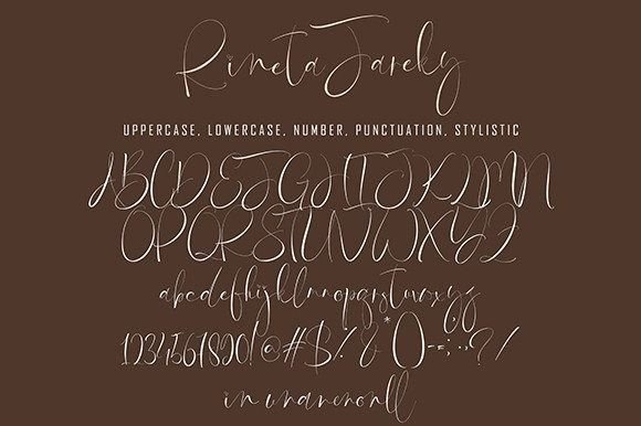 Rineta Fareky Font Poster 8