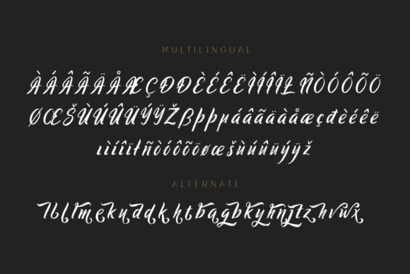 Ringtrack Font Poster 9