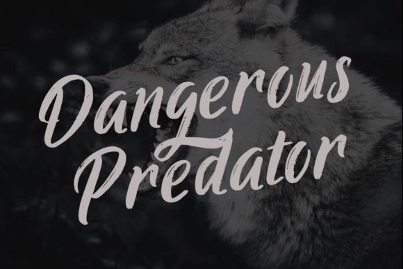 Ringtrack Font Poster 10