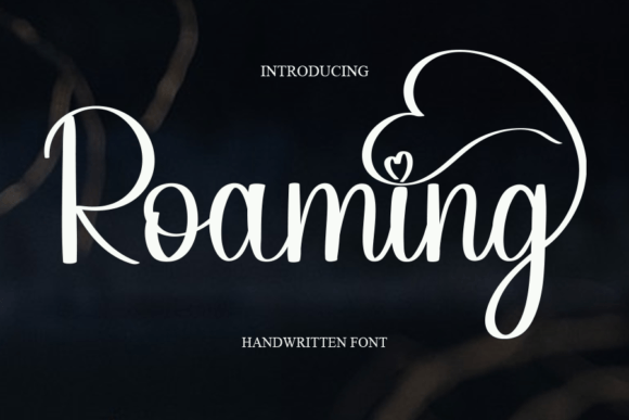 Roaming Font
