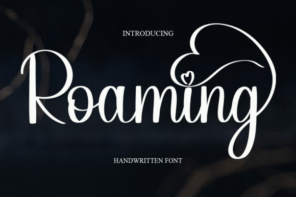 Roaming Font Poster 1