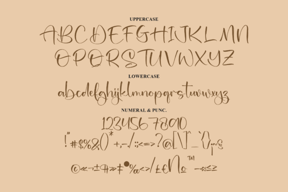 Rollance Beauty Font Poster 13