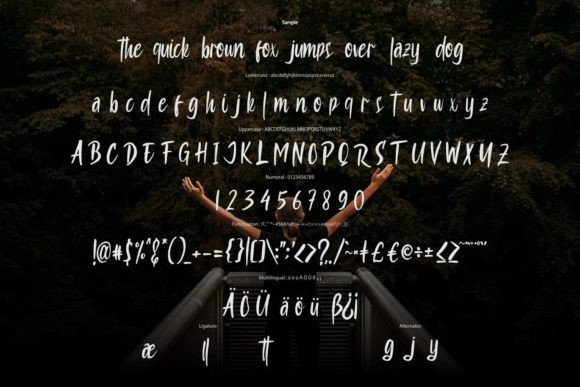 Rolliey Font Poster 6