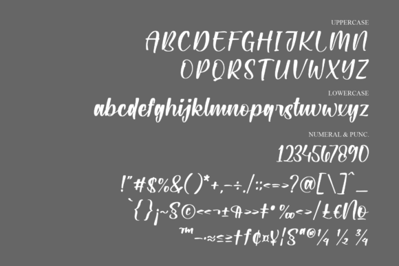 Romanth Cattalis Font Poster 12