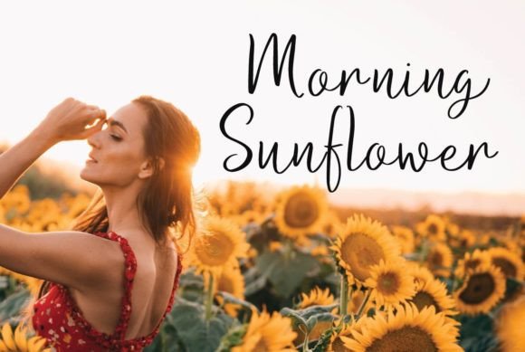 Romy Style Font Poster 8