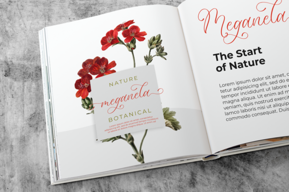Romydore Font Poster 7