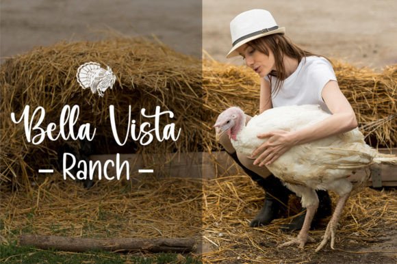 Rooster Farmhouse Duo Font Poster 2