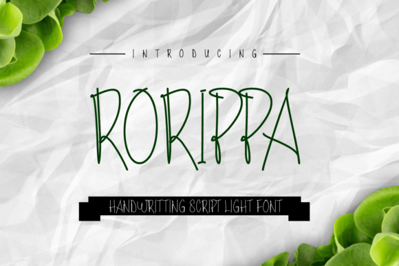 Rorippa Font