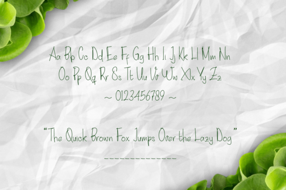 Rorippa Font Poster 5