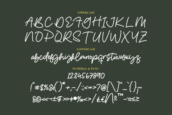 Roschelle Font Poster 13