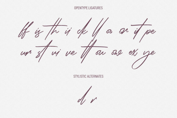 Rose Couture Font Poster 9
