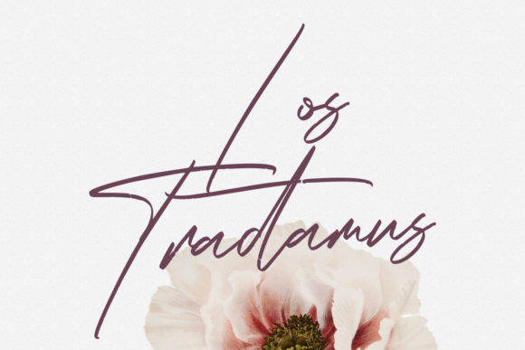 Rose Couture Font Poster 10