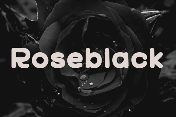 Roseblack Font