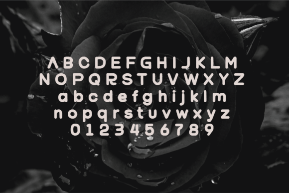 Roseblack Font Poster 2