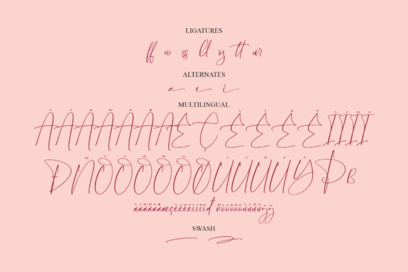 Rosechille Font Poster 14