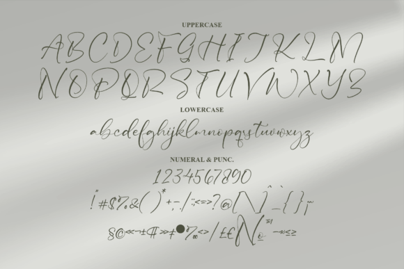 Rosehill Mitalia Font Poster 13