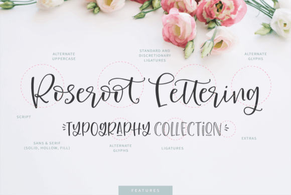 Roseroot Cottage Collection Font Poster 2
