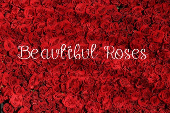 Roses Font Poster 3