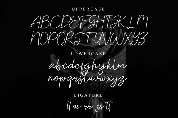 Rossa Font Poster 2