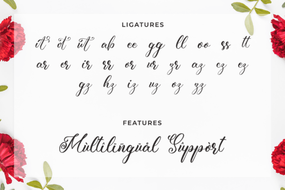Rossedina Font Poster 11