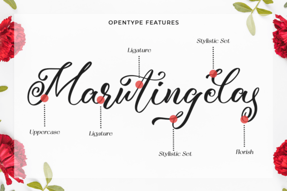 Rossedina Font Poster 8