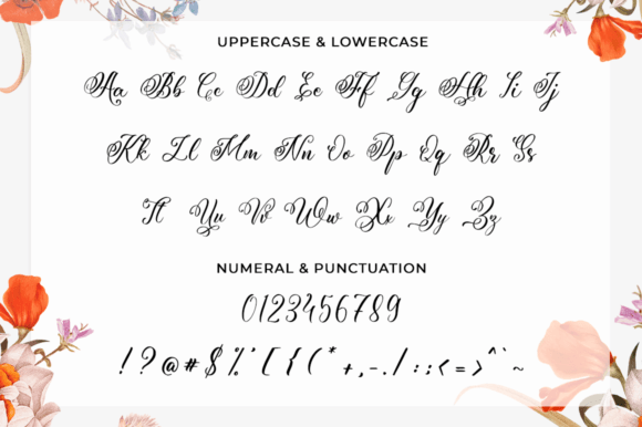 Rossedina Font Poster 9