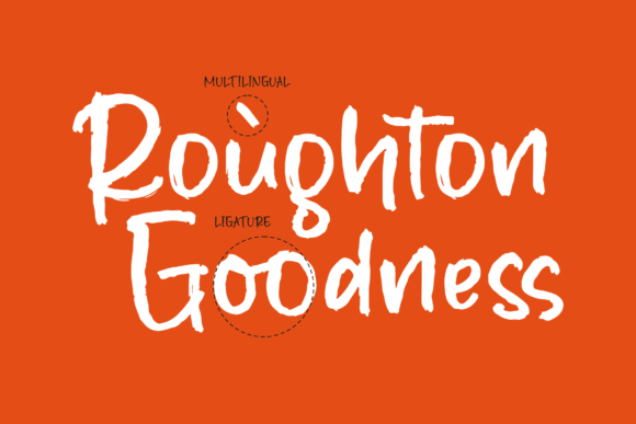 Roughnation Font Poster 12