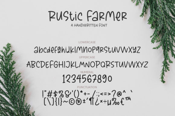 Rustic Farmer Font Poster 6