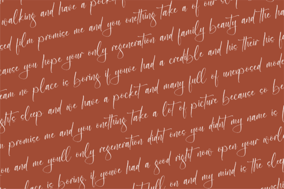 Rusticlake Font Poster 8