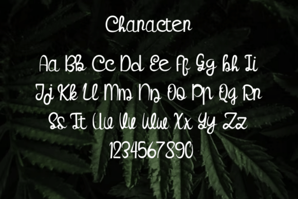 Sabryan Font Poster 2