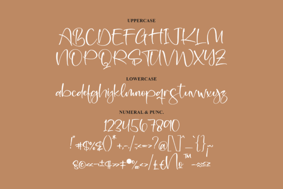 Sacholla Font Poster 13