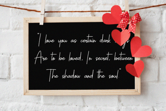 Sallyna Cattalya Font Poster 6