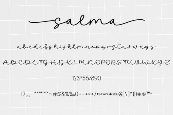 Salma Font Poster 6