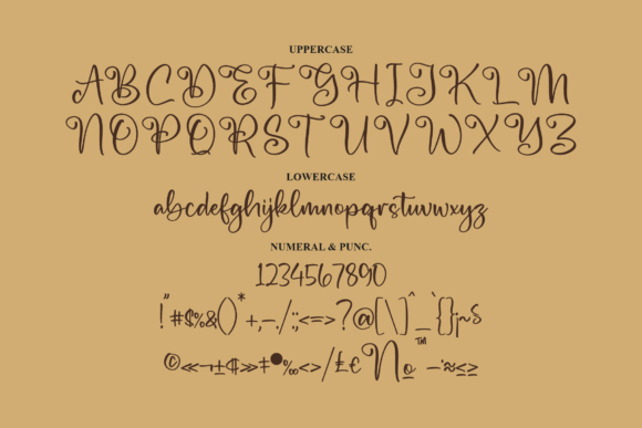 Salminda Font Poster 13