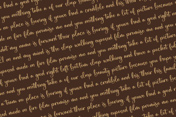 Salminda Font Poster 8