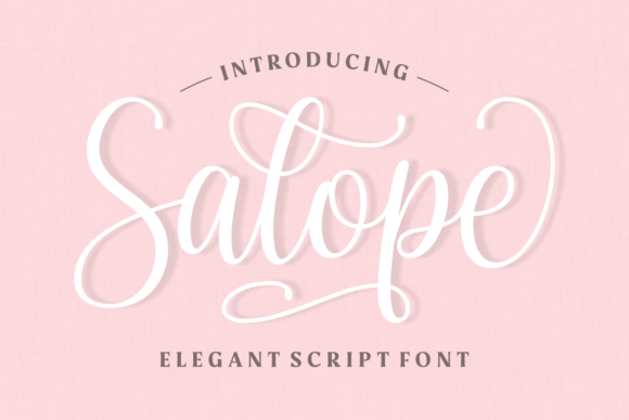 Salope Font Poster 1