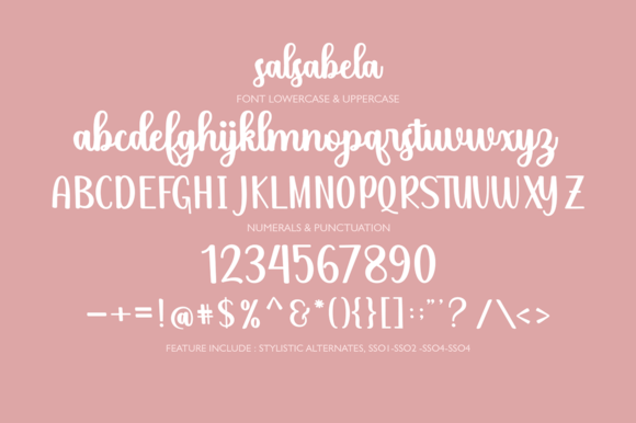 Salsabela Script Font Poster 8