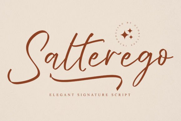 Salterego Font Poster 1