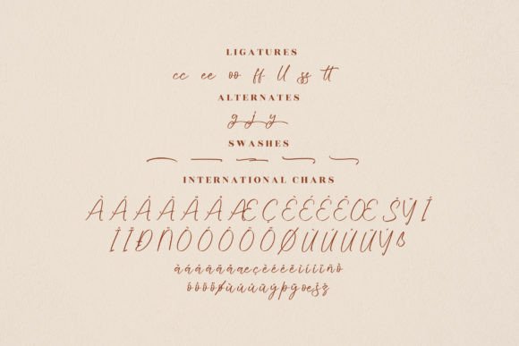 Salterego Font Poster 14