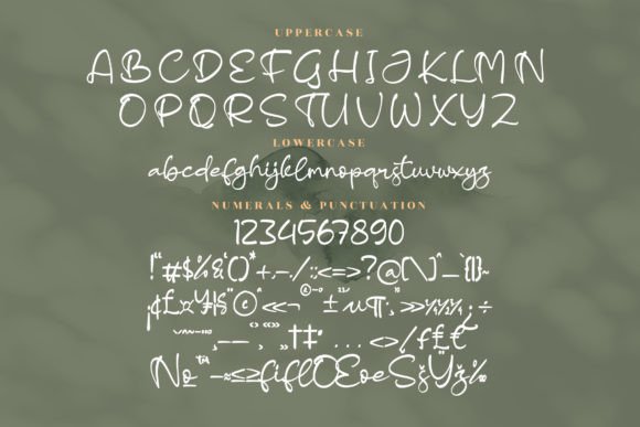 Sandlera Font Poster 13