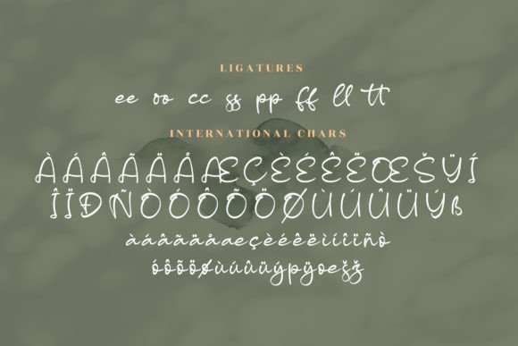Sandlera Font Poster 14