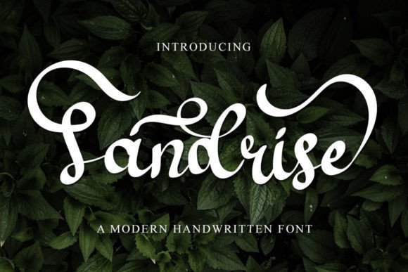 Sandrise Font